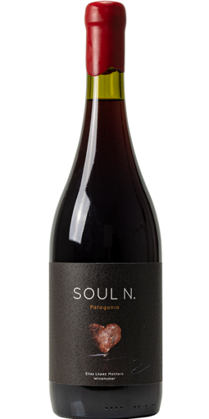 VERUM PATAGONIA - SOUL N PINOT NOIR